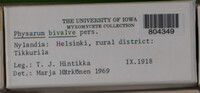 Image Associated With the Occurence